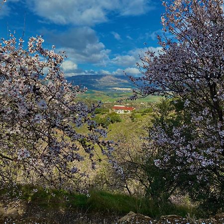 El Sueno, Cortijo Andalusi Del Siglo XIX Villa Almogía Buitenkant foto