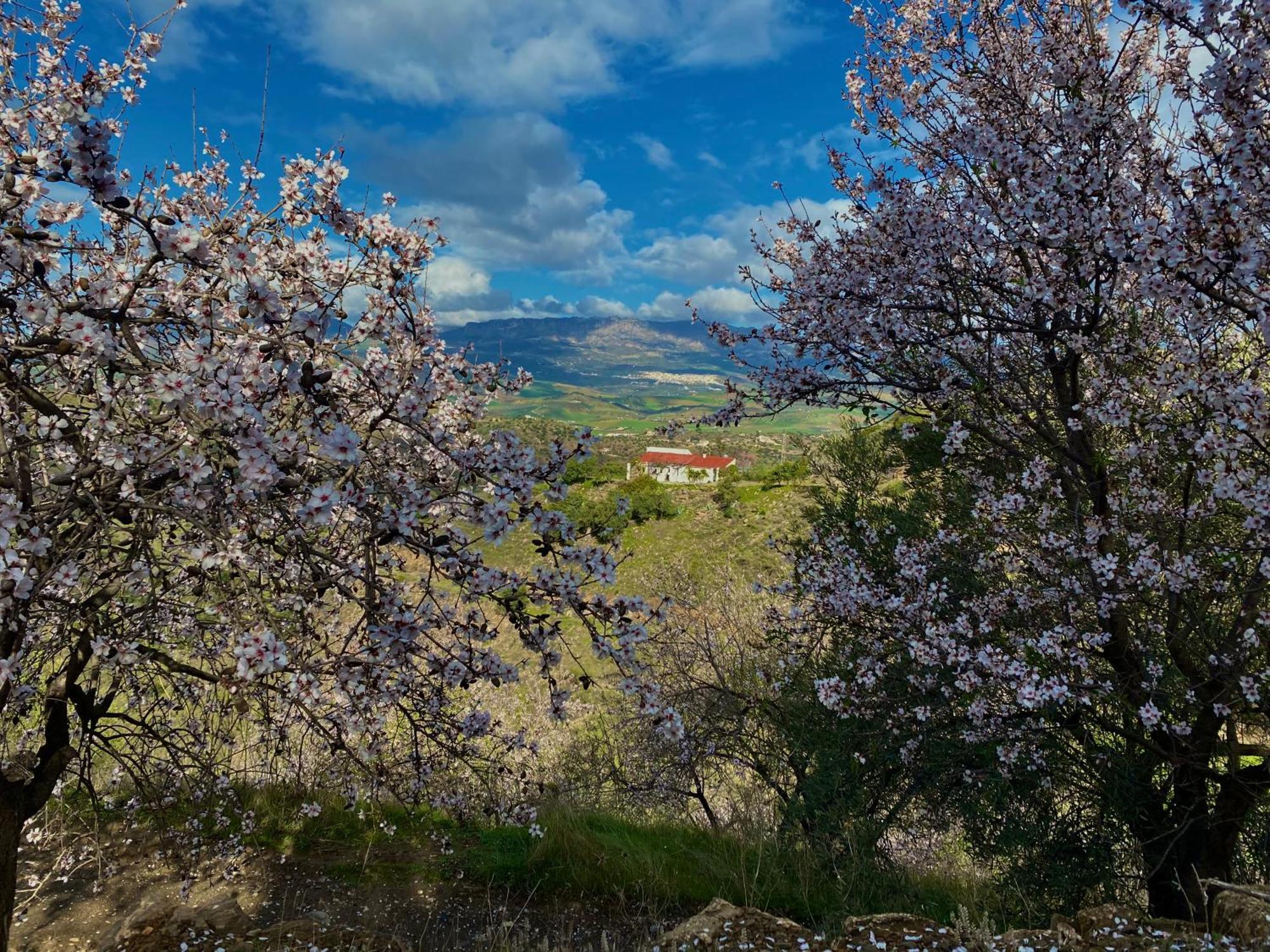 El Sueno, Cortijo Andalusi Del Siglo XIX Villa Almogía Buitenkant foto